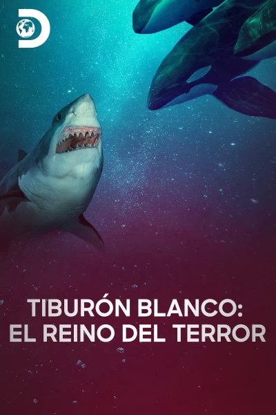 Tiburón blanco: el reino del terror