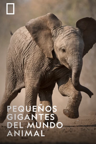 Pequeños gigantes del mundo animal
