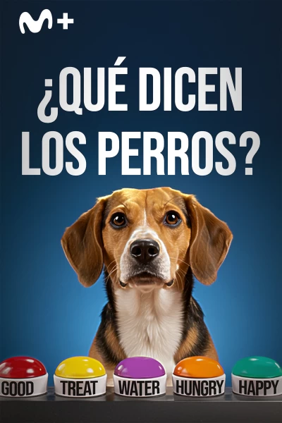 ¿Qué dicen los perros?
