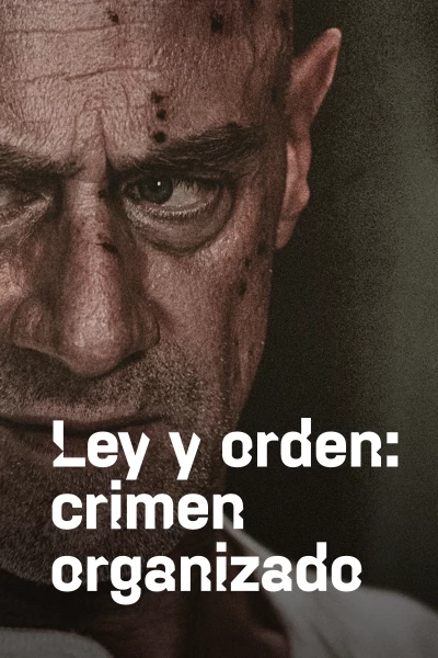 Ley y Orden: Crimen organizado. T(T5). Ley y Orden:... (T5): Ep.11 He Was a Stabler