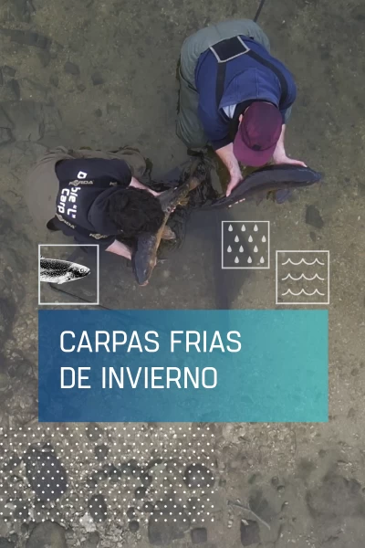 Carpas frías de invierno