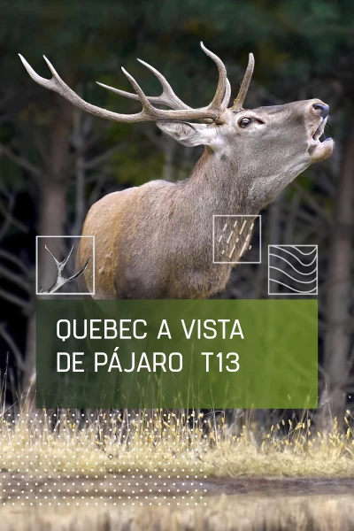 Quebec a vista de pájaro