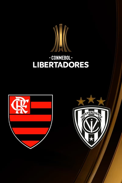 Cuartos de final. Cuartos de final: Flamengo - Independiente del Valle