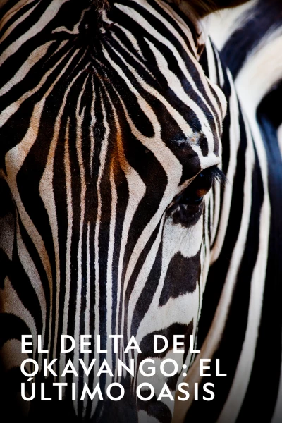 El Delta Del Okavango: El ÚLtimo Oasis
