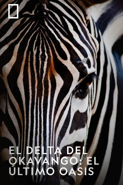 El delta del Okavango: el último oasis