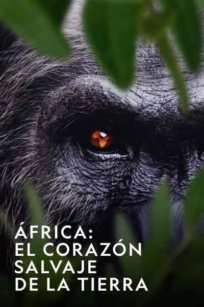 ÁFrica: El Corazón Salvaje De La Tierra