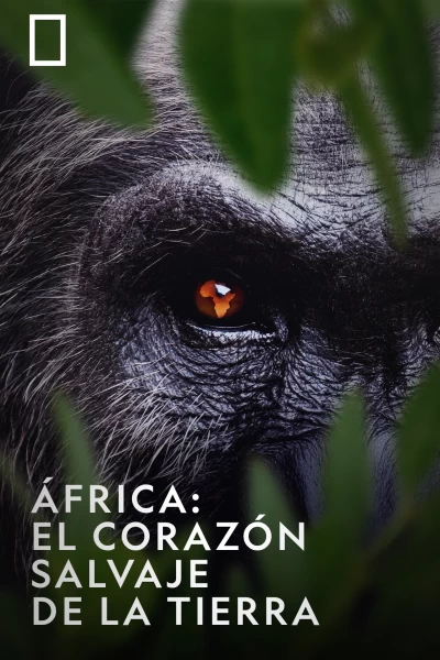 ÁFrica: El Corazón Salvaje De La Tierra