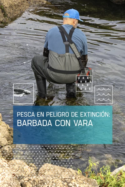 Pesca en peligro de extinción: barbada con vara