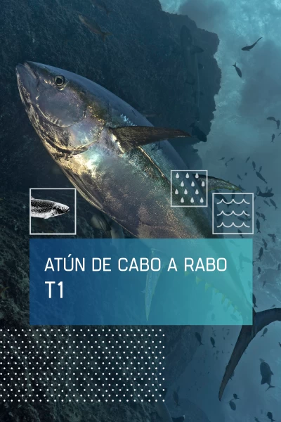 El atún de cabo a rabo