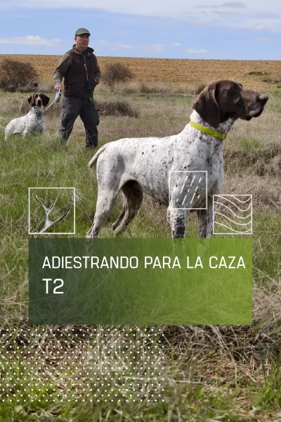 Adiestrando para la caza