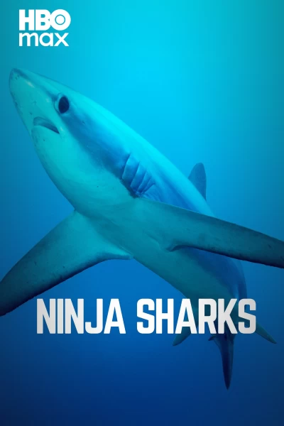 Tiburones Ninja