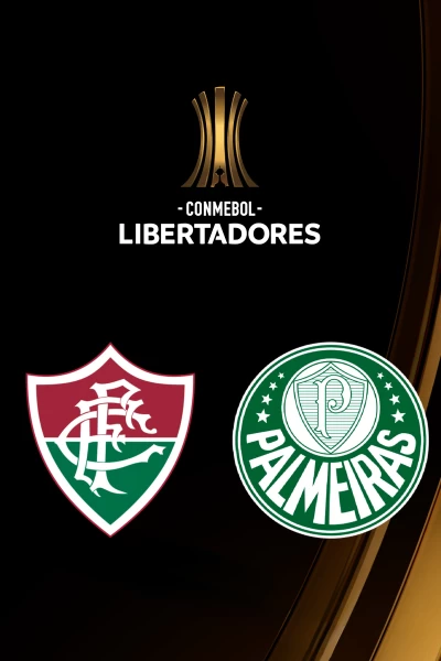 Semifinales. Semifinales: Fluminense - Palmeiras
