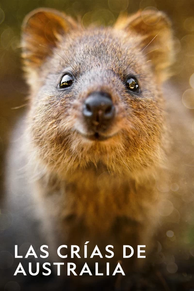 Las crías de Australia