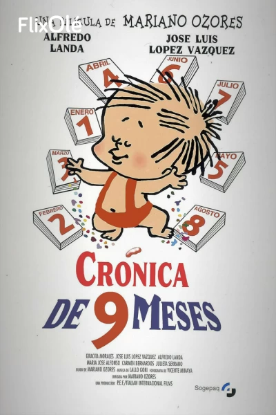 Crónica de nueve meses