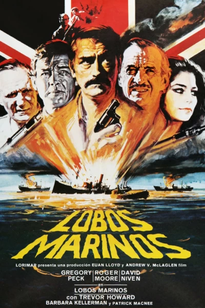 Lobos marinos