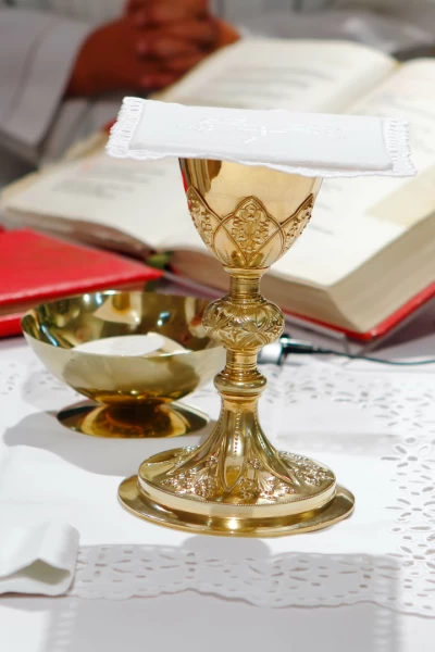 Santa Misa de La Solemnidad de la Virgen del Sagrario. La Asunción