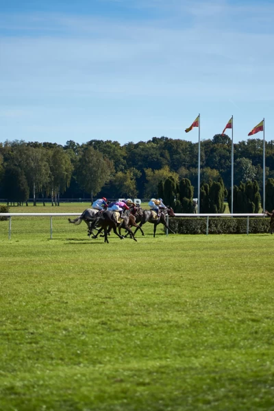 Liga Nacional de Saltos ecuestres. T(2026). Liga Nacional de... (2026): Hipódromo de Sanlúcar. 09/08/2026