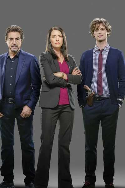 Mentes criminales. T(T12). Mentes criminales (T12): Ep.5 El grupo antiterrorista