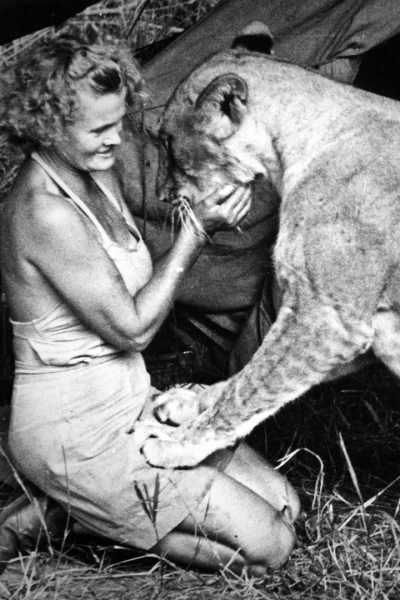 Elsa. La leona que cambió el mundo