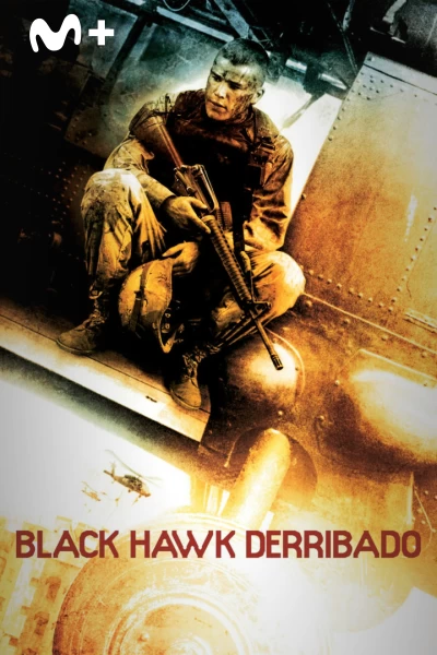 Black Hawk derribado