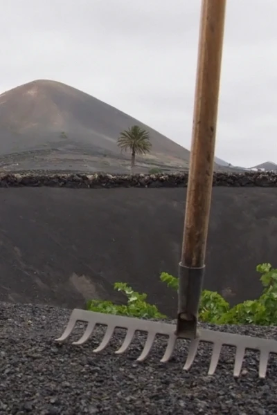 Beber para (no) olvidar