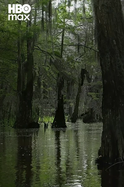 Muerte en el pantano