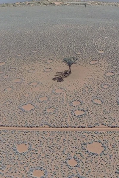 Curiosidades de la Tierra