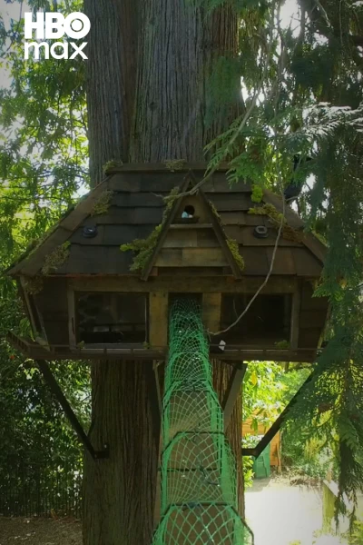 Supercasas para mascotas