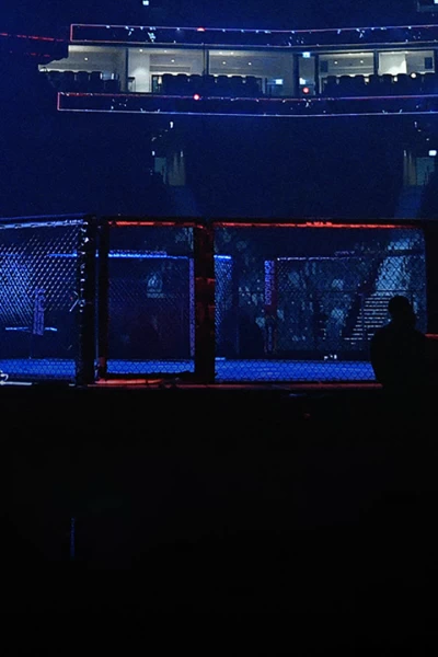 UFC Fight Night: Blanchfield vs Barber. T(2025). Blanchfield vs... (2025): Main Card