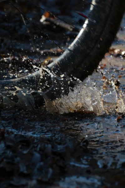 Ciclocross Superprestige - Middelkerke. T(25/26). Ciclocross... (25/26): Carrera M