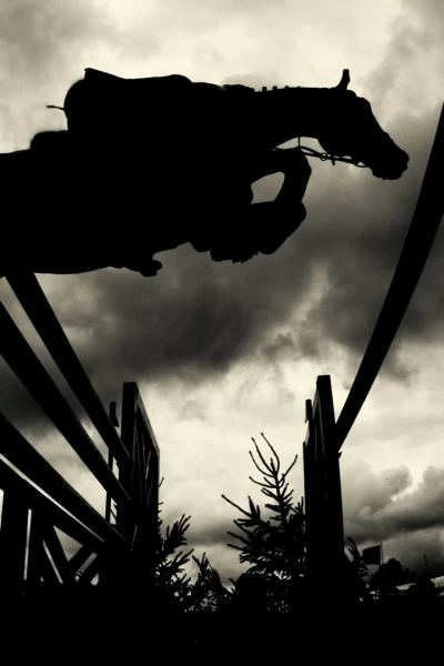 Resumen de la temporada ecuestre