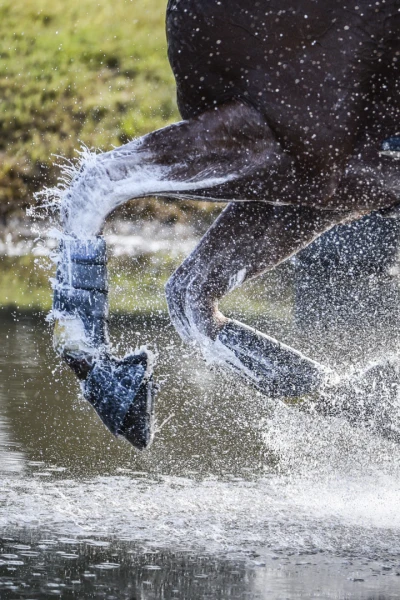 Hípica: Saut Hermès