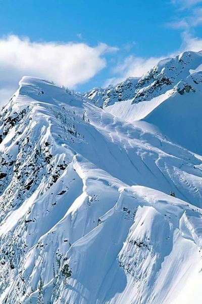 Fase de grupos. Fase de grupos: Italia - Escocia