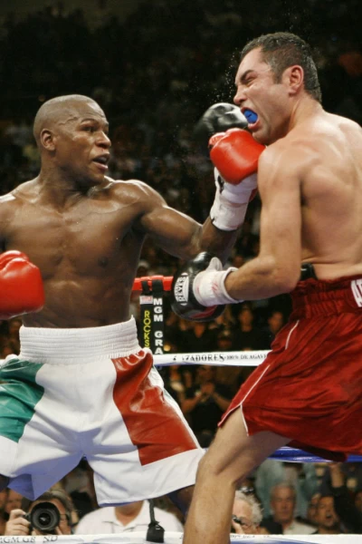 Mega Fights