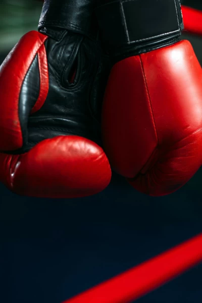 Boxeo: velada De La Hoya vs Forbes. T(2008). Boxeo: velada De... (2008): Óscar de La Hoya - Steve Forbes