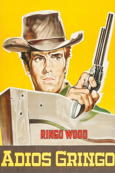 Adiós gringo