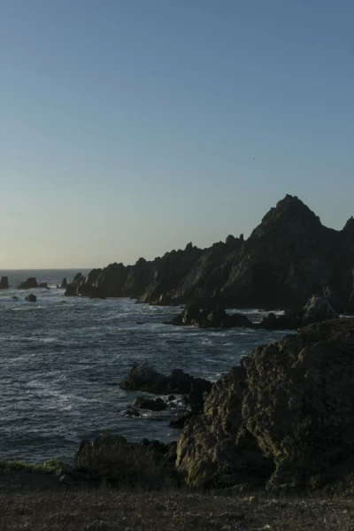 Corriente de Humboldt: el viaje de la ballena