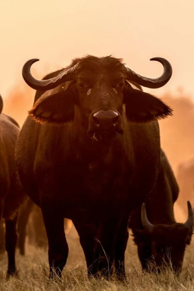 Los cambios de la naturaleza