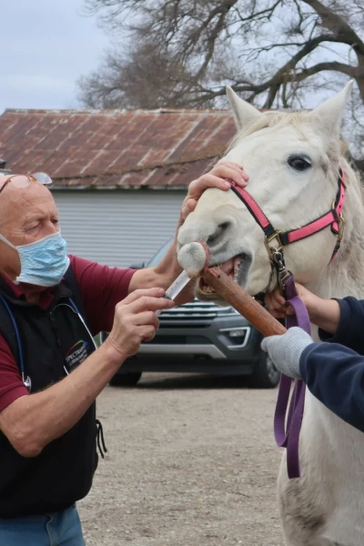 El increíble doctor Pol
