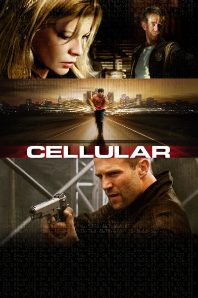 Cellular