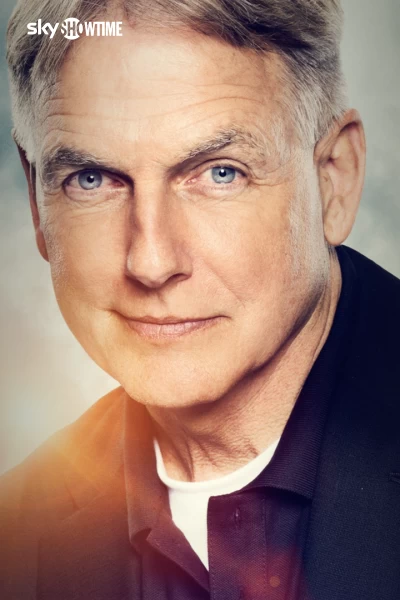 Navy: Investigación criminal