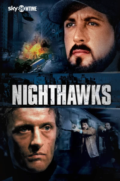 Halcones de la noche