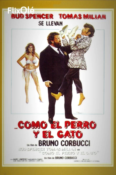 Como el perro y el gato