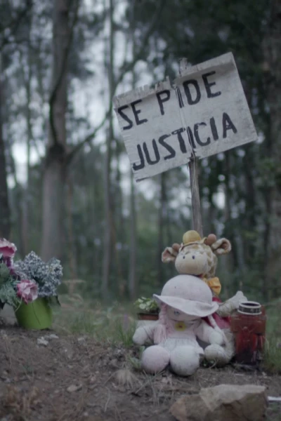 Lo que la verdad esconde: El caso Asunta. Lo que la verdad...: Operación Nenúfar 1ª Parte