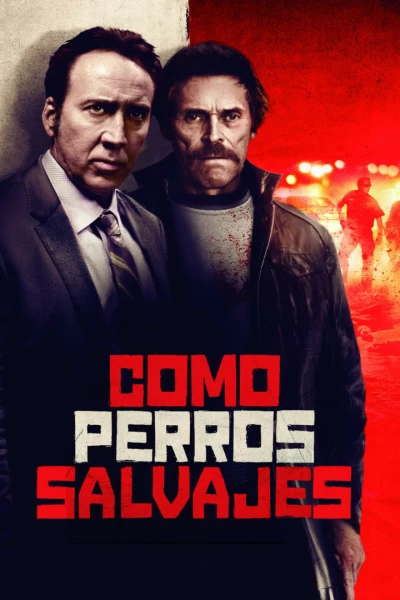 Como perros salvajes