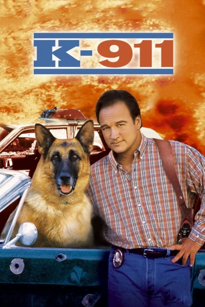 Superagente K-911
