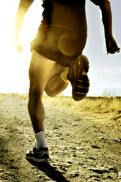 Mundial de atletismo campo a través. T(2026). Mundial de... (2026): Carrera F