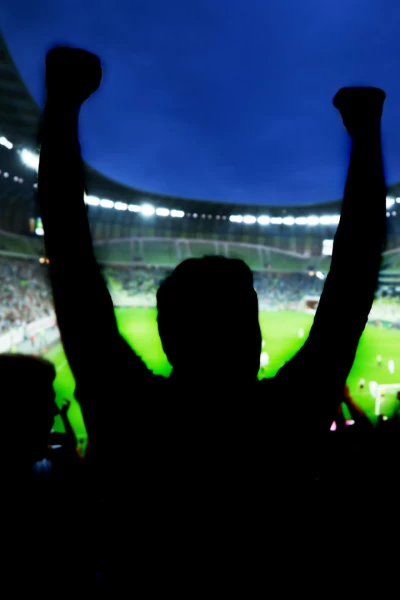 Partido amistoso: España - Serbia