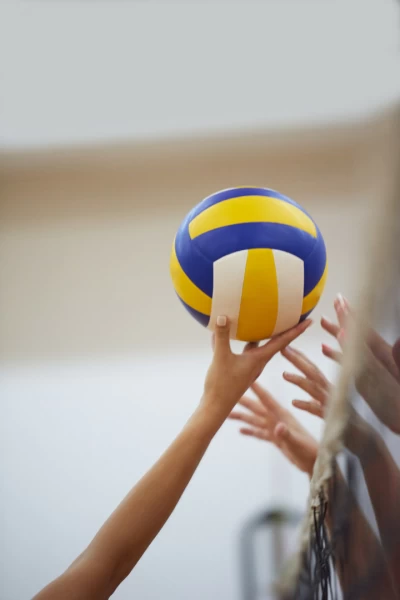 Liga europea femenina de voleibol
