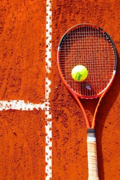 ATP Challenger - Alicante. T(2026). ATP Challenger -... (2026): Cuartos de final